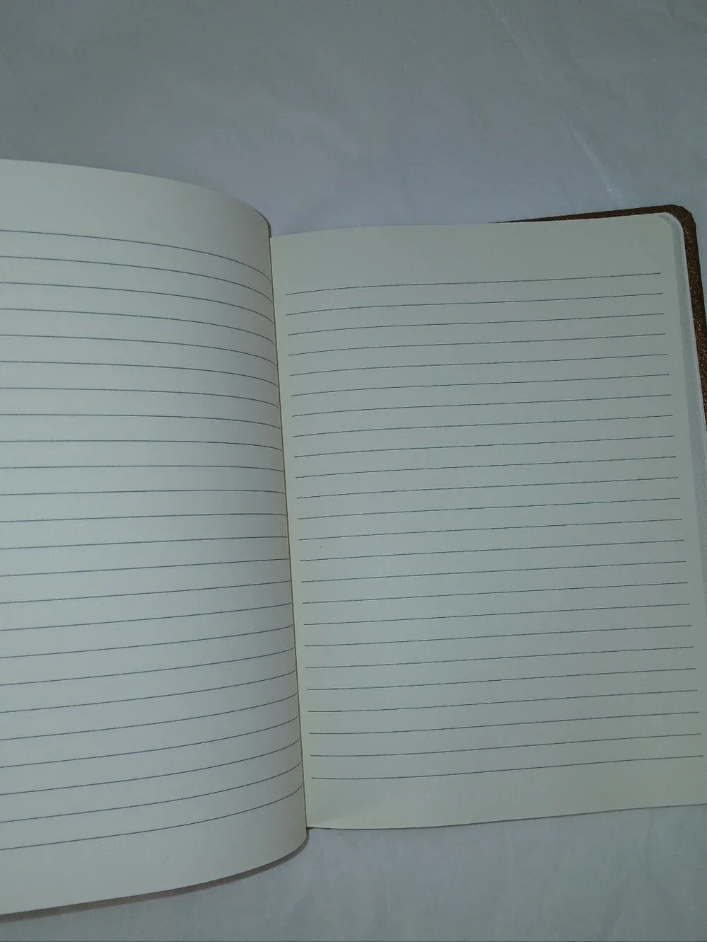 Hardcover Metallic Gold Washable Kraft Journal 6x8, 368 Pages, James Burke